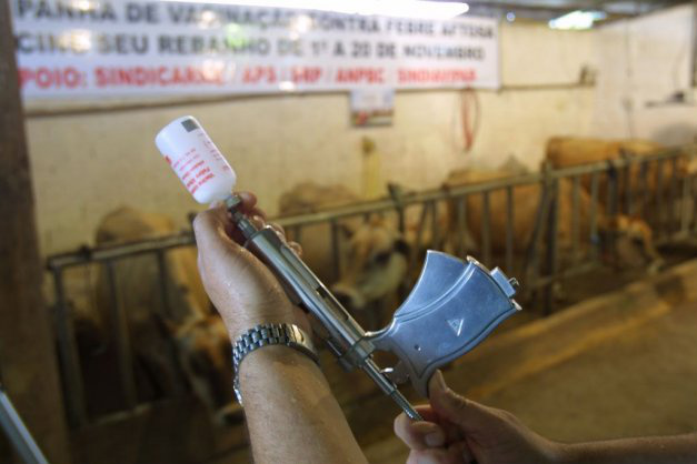 Iagro publica portaria para vacinação de rebanho de bovinos e bubalinos no MS