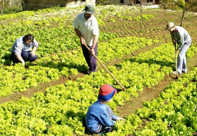Plano Safra da Agricultura Familiar terá no mínimo R$ 25 bilhões