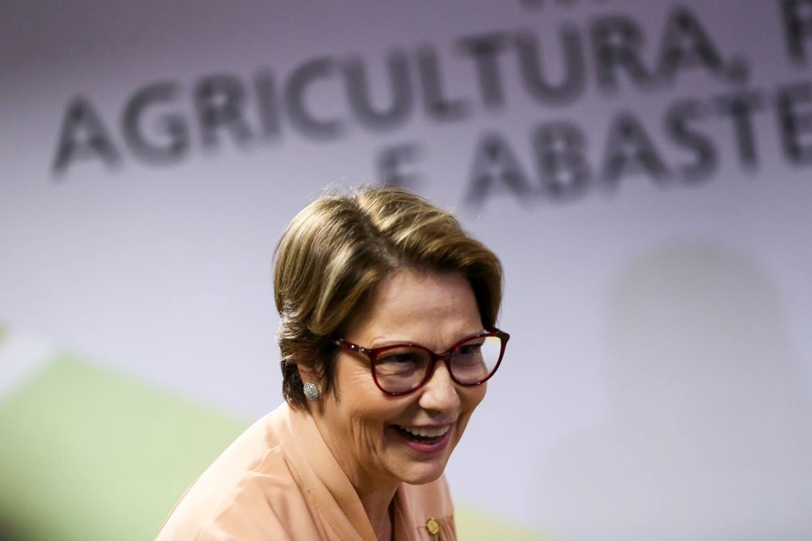 Ministra da Agricultura nega redução em demarcação de terras indígenas Foto: Marcelo Camargo/Agência Brasil