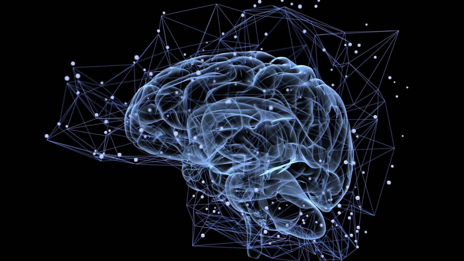 Cientistas estudam poder do cérebro para aceitar opiniões contrárias © iStock