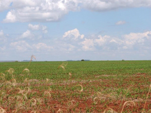 Mudanças climáticas podem causar perdas de R$ 7,4 bilhões para agricultura