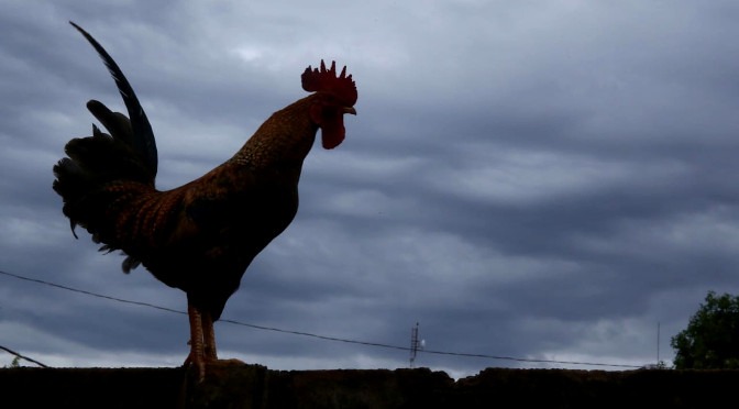 Véspera de Natal tem tempo parcialmente nublado e temperatura estável