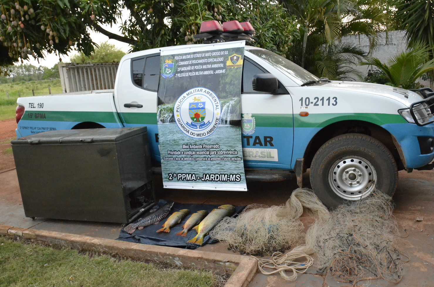 (Foto: Divulgação / Polícia Militar Ambiental)