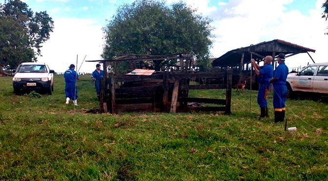 Iagro alerta para confirmação de novos casos de raiva no Estado Iagro alerta para confirmação de novos casos de raiva no Estado
