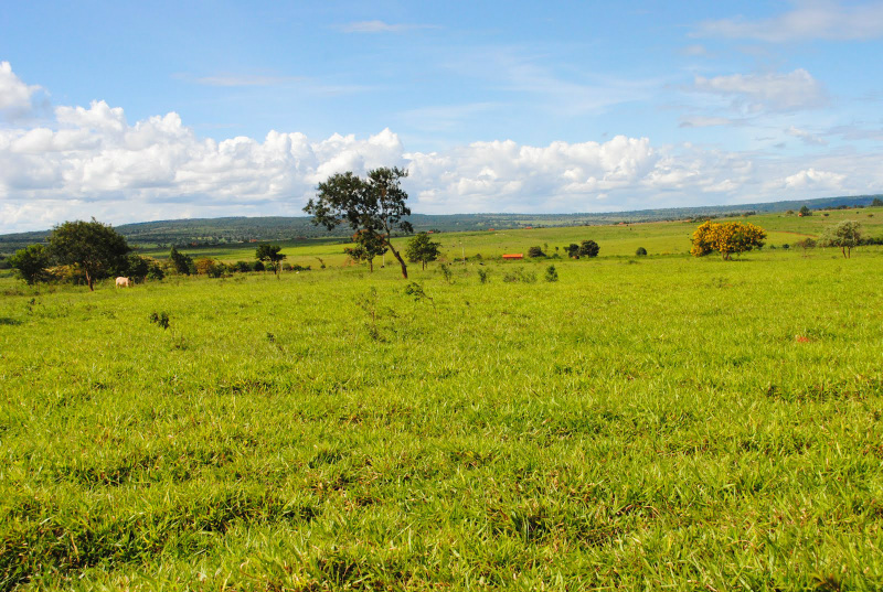 Prejuízo estimado pelo MPF com situações ilegais chega a R$ 200 mi.