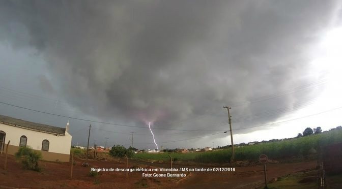 (Foto: Divulgação / Notícias MS)