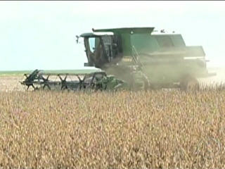 Em MS, soja registra valorização de 20% nos últimos três meses