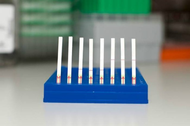 Edição genética leva a testes melhores para diagnosticar dengue, zika e HPV