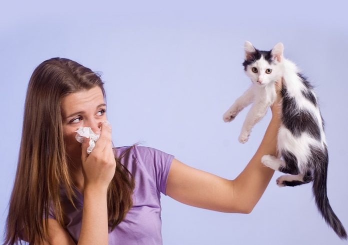 Como tratar alergia a gatos
