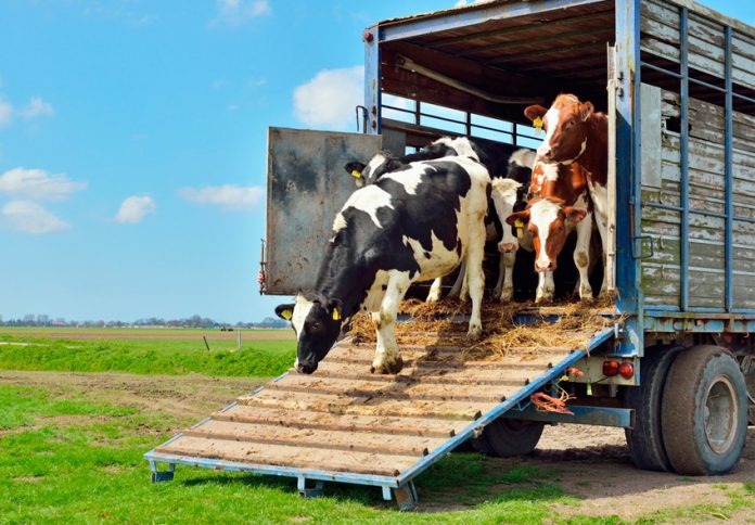 Projeto de Lei proíbe embarque de animais vivos no transporte marítimo Projeto de Lei proíbe embarque de animais vivos no transporte marítimo
