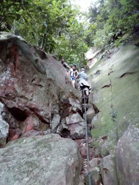Brasileiros, atacados por abelhas, se perdem em região montanhosa do Paraguai Brasileiros, atacados por abelhas, se perdem em região montanhosa do Paraguai