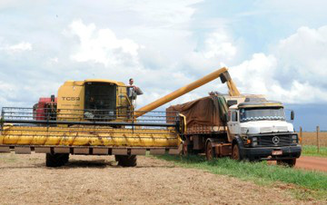 A soja resistente ao 2,4-D vai passar pela comissão de especialistas responsável por liberar novas variedades