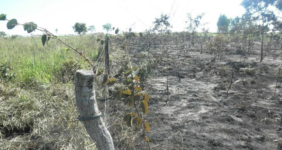 PMA autua assentado em R$ 23 mil PMA autua assentado em R$ 23 mil