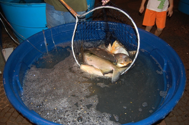 Feira do Peixe, do dia 19 a 22 de abril, na Praça Central de Amambai.