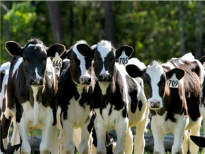 Em período de 6 anos, MS quase dobra valor da produção agropecuária