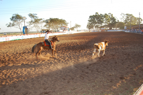 Festas do Laço agitam o interior do MS.