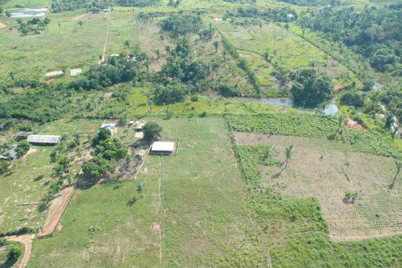 O Cadastro Ambiental Rural vai reunir informações sobre os imóveis no campoArquivo/Agência Brasil
