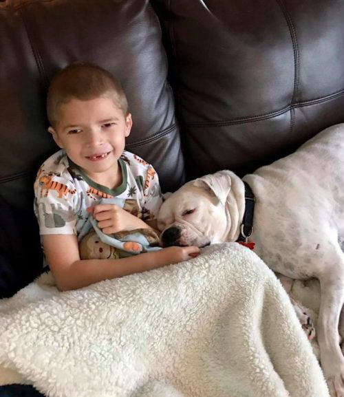 Menino com necessidades especiais e cachorra surda constroem amizade inspiradora (Foto: Brandi Guillet/Facebook)