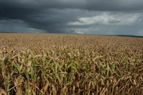 Foto: Ernesto de Souza/ Ed. Globo