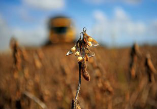 Geller confirma ampliação do vazio sanitário no Brasil