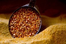 Técnicos também vão verificar se beneficiários estão fazendo uso correto do milho 