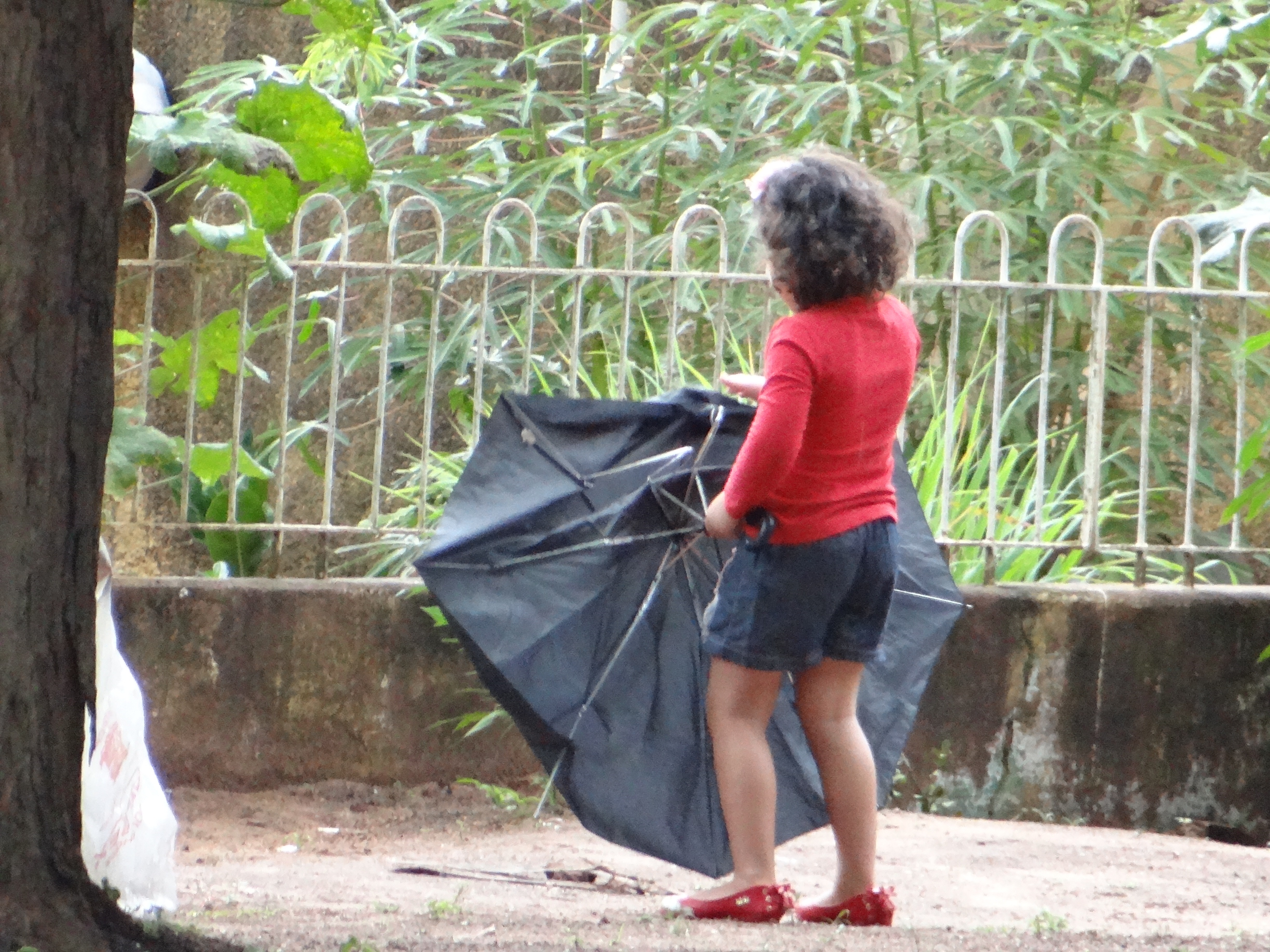 Imagem da semana: À espera da chuva Foto: Moreira Produções