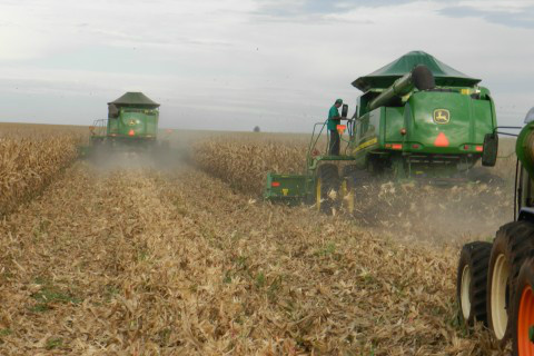 Colheita da safrinha em MS chega a 86% das áreas cultivadas Foto: Assessoria de Imprensa Sistema Famasul