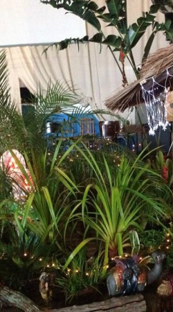 Presépio da igreja católica de Amambai mantém tradição natalina Plantas foram doadas por fiel da comunidade católica / Foto: Divulgação