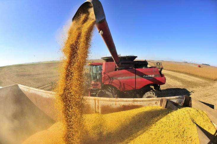 IBGE prevê safra 1,9% menor na primeira estimativa de 2016