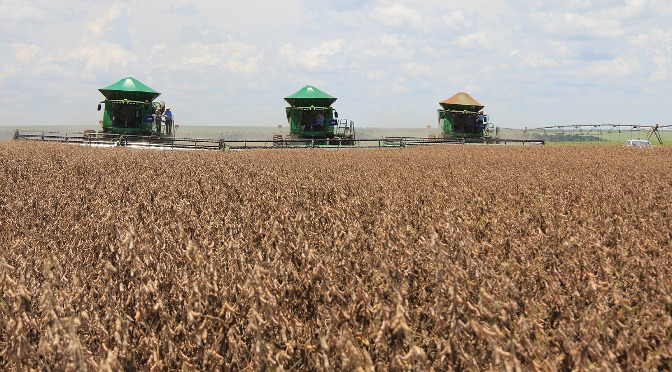 MS tem 12 cidades entre os maiores produtores do agronegócio brasileiro MS tem 12 cidades entre os maiores produtores do agronegócio brasileiro