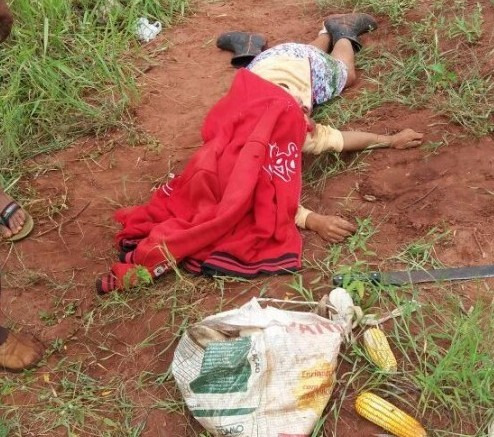  Marinelza foi atingida dois disparos de calibre 22 / Foto: Agazeta