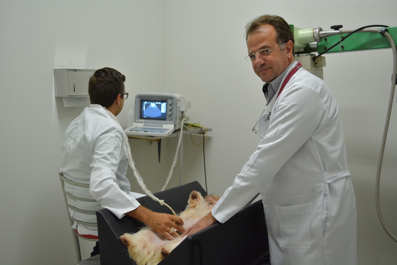 Ultrassonografia é um os serviços oferecidos pela Cani'Cat. Médicos veterinários durante realização de exame . Foto: Moreira Produções