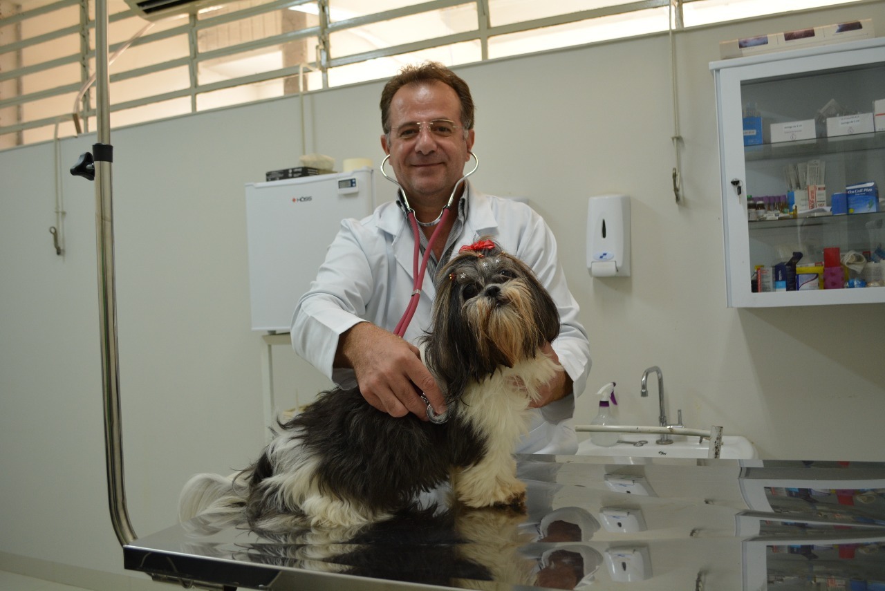 O médico veterinário Ednor Bampi está há mais 26 anos atuando no atendimento a pequenos animais. Foto: Moreira Produções 