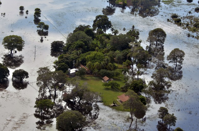 Na linha da tendência de cheia, muitas áreas pantaneiras já estão alagadas - Foto: Paulo Ribas / Correio do Estado