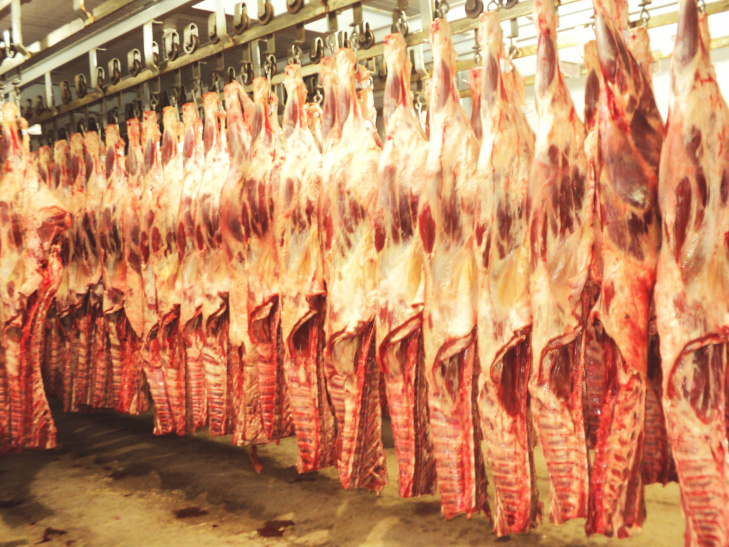 Desempenho das carnes na primeira semana de novembro Desempenho das carnes na primeira semana de novembro