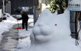 Tempestades de neve no Japão deixam pelo menos 11 mortos