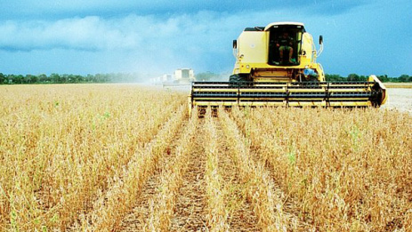 Mato Grosso do Sul deve ter o maior crescimento na safra de grãos
