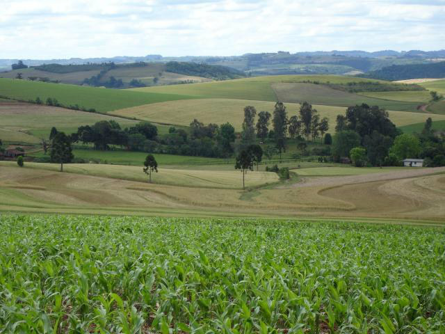 Certificado de Cadastro de Imóvel Rural pode ser pago sem multas até sábado (14) Para que o CCIR seja validado, o titular deve efetuar o pagamento da taxa de serviço cadastral no BB (Foto: Divulgação)