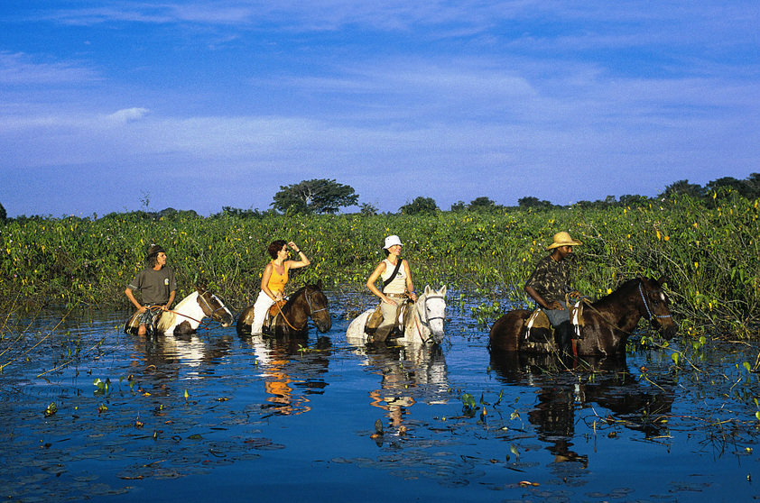 Figueiró comenta pontos polêmicos de projeto sobre preservação do Pantanal