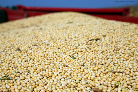 Safra nacional de grãos será 15% maior em 2016/17