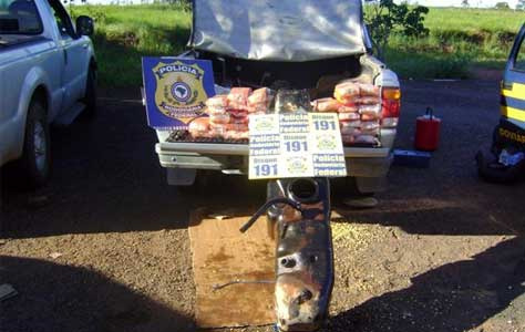 Polícia prende 11 bolivianos com 145 kg de cocaína em MS