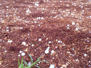 Granizo atingiu a área rural de Bagé(Foto: Fabiana Gonçalves/RBS TV)