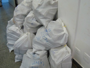 Tabletes de cocaína foram levados para a Polícia Federal. (Foto: Divulgação)