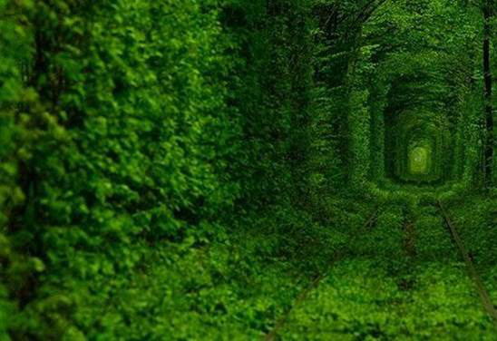 Túnel do Amor, na Ucrânia