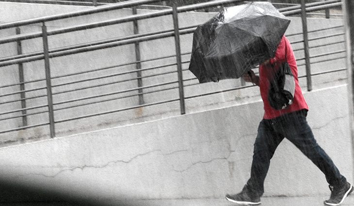 Previsão é de segunda-feira com chuva em MS Foto: Saul Schramm