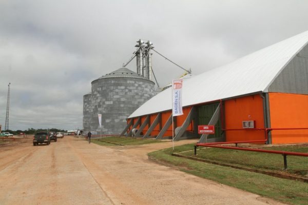 MS deve exportar 1 milhão de toneladas de soja pelo Porto de Concepción Pelo menos um milhão de toneladas de soja de MS devem ser exportadas para a Argentina pelo Porto de Concepción.