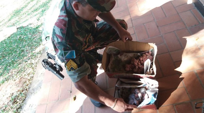 Texto e foto: Polícia Militar Ambiental (PMA)