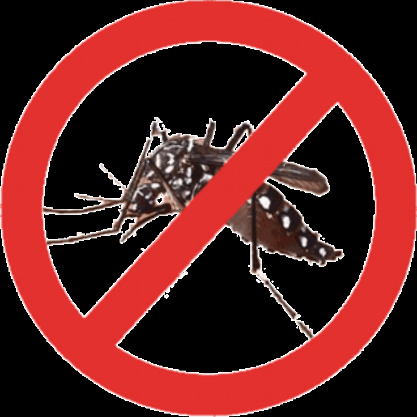 Casos de dengue são reduzidos em 27% no País