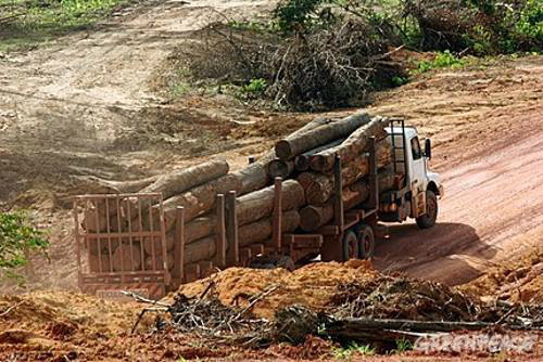 Incra é acusado por assentamentos que degradam ambiente