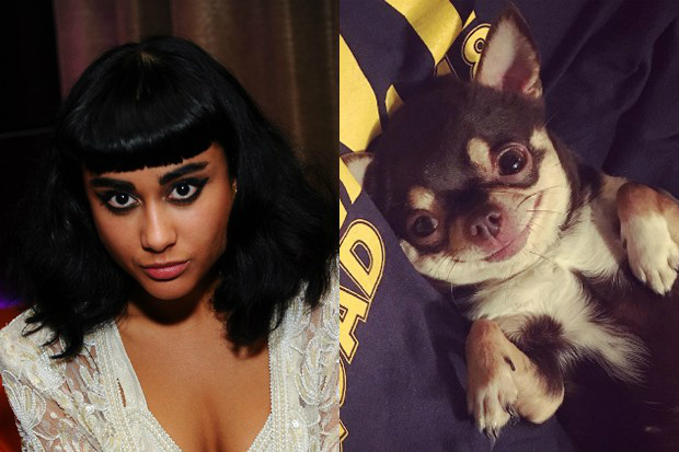 Cantora revela que foi salva de incêndio pelo cachorro Natalia Kills revela que cachorrinho Bambi a salvou de incêndio (Foto: Getty Images e Reprodução/Instagram)